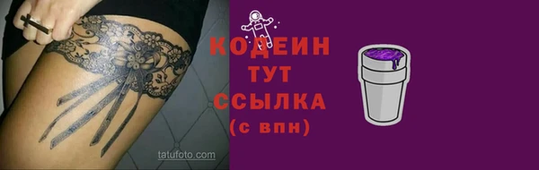 прущие крисы Пересвет