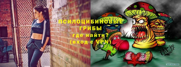 спайс Пестово