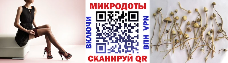 Галлюциногенные грибы MAGIC MUSHROOMS kraken tor Богородицк