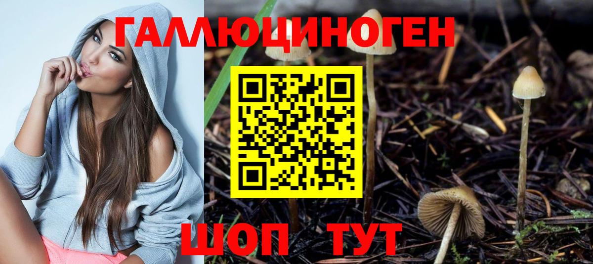 Богородицк  Псилоцибиновые грибы прущие грибы  Вход с VPN 